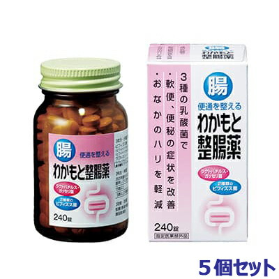 【お得な5個セット】【わかもと製薬】わかもと整腸薬 240錠 〔指定医薬部外品〕