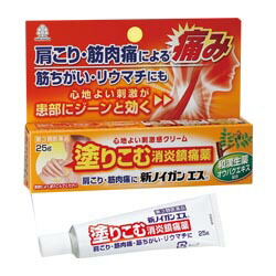 【第3類医薬品】【湧永製薬】新ノイガンエス　25g 【セルフメディケーション税制 対象品】※お取り寄せになる場合もございます