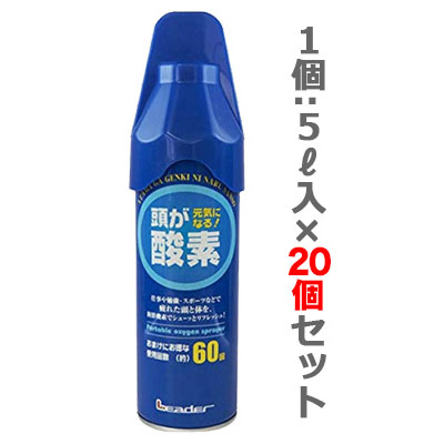 【お得な20個セット】【日進医療器】リーダー　携帯用酸素スプレー　５リットル