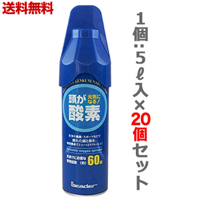 【送料無料の20個セット】【日進医療器】リーダー　携帯用酸素スプレー　５リットル