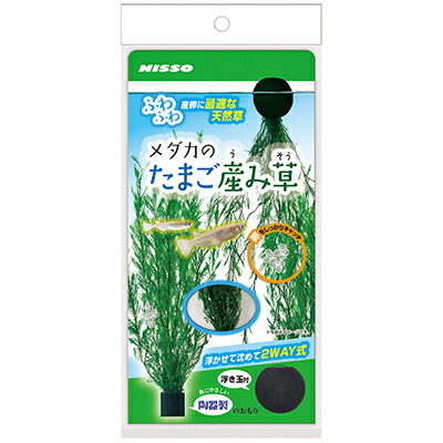 【マルカン ニッソー】メダカのたまご産み草　１個 ☆ペット用品 ※お取り寄せ商品