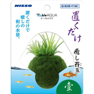 【マルカン ニッソー】テーブルアクア 置くだけ癒し苔玉 壹 (イチ) 1個 ☆ペット用品 ※お取り寄せ商品