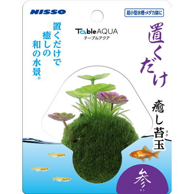 【マルカン ニッソー】テーブルアクア 置くだけ癒し苔玉 参 (サン) 1個 ☆ペット用品 ※お取り寄せ商品