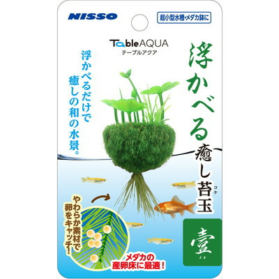 【マルカン ニッソー】テーブルアクア 浮かべる癒し苔玉 壹(イチ) 1個 ☆ペット用品 ※お取り寄せ商品